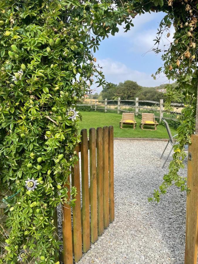 Holmdale Holiday Cottages 라이 외부 사진